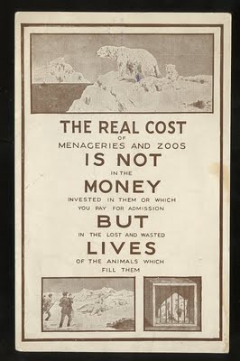 Click on image to see full-sized version Zoos, prisons for the innocent...always