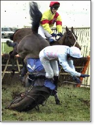 Click on image to see full-sized version End Horse Racing -the cruelty cannot be eliminated without a ban.