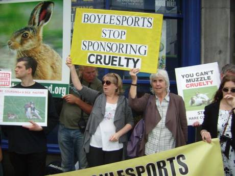 Click on image to see full-sized version Protest...The Gentle Hare has friends as well as enemies...