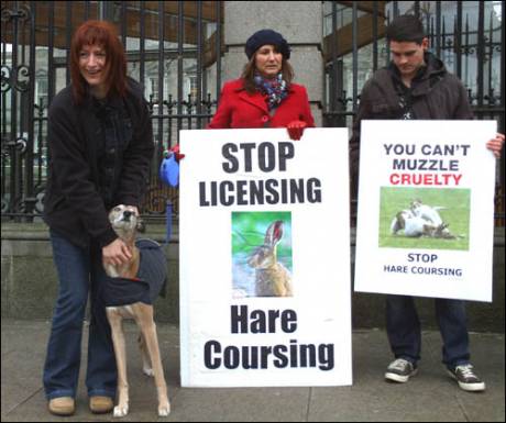 Click on image to see full-sized version Friends of the Irish Hare...