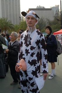 The $2 'EU cow'