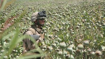 Guardians of the Heroin?