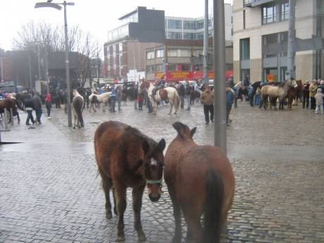 dublin_seven.jpg