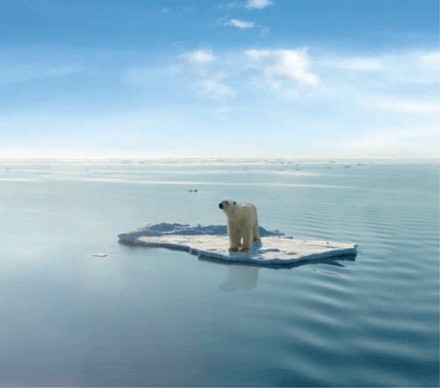 Ursus Bogus - not real