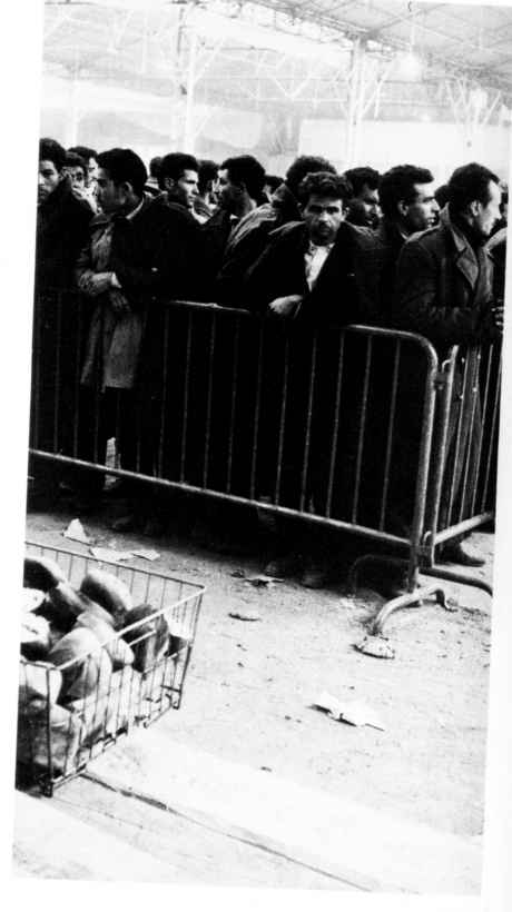 Click on image to see full-sized version Internees in sports stadium where the Nazis had previously processed Jews