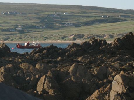 Click on image to see full-sized version One of a number of ribs watching the camp from close off shore