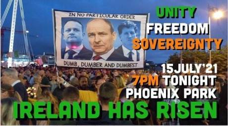 Ireland_has_risen_phoenix_park_7pm_15th_july.jpg