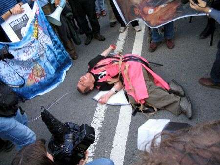 08macbush_on_ground.jpg