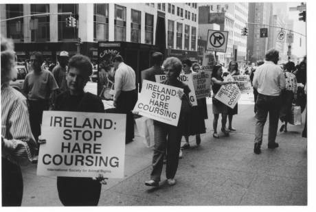Click on image to see full-sized version Protesters against Irish hare coursing outside Ireland's New York consulate