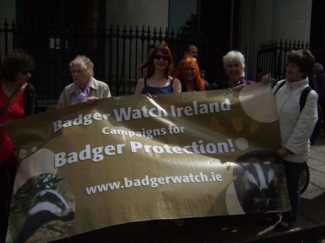 Click on image to see full-sized version BadgerWatch Ireland banner with Clare Daly, Maureen O' Sullivan, Bernie Wright and Bernadette Barrett (Badgerwatch)