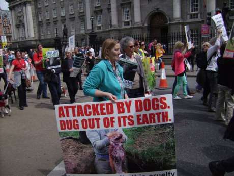 Click on image to see full-sized version The march to the Dail that followed demo at Dublin Castle