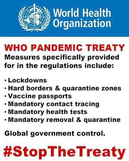 who-pandemic-treaty-summary.jpg