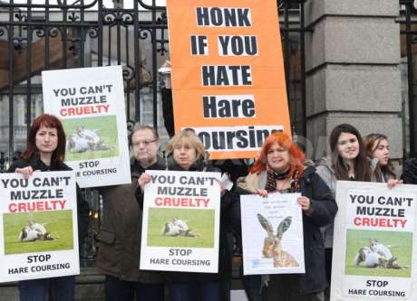 Clare TD with campaigners outside Dail Eireann (Irish parliament)
