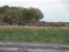 Damage to a Native Woodland: Greenstar have a felling license to fell just 35 broadleaves